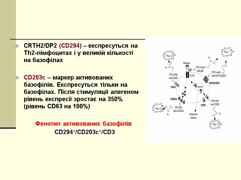 CRTH2/DP2 (CD294) – експресуться на Th2-лімфоцитах і у великій кількості на базофілах  